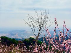 -天津盘山风景名胜区