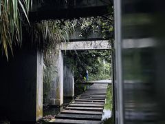 -燕晗山郊野公园