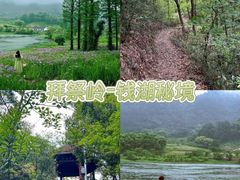 -东钱湖旅游度假区