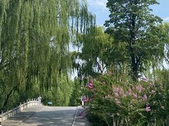 -济南大明湖景区