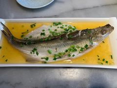 鸡汁蒸白鱼-京城小江南·北京烤鸭·江南土菜·白鱼(中关村店)