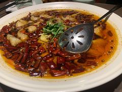 沸腾鱼片-有璟阁港式餐厅(国贸商城店)