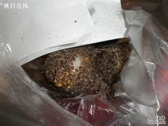 -叶氏麻糍(鼓浪屿店)