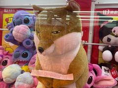 -LLJ夹机占(西直门凯德店)