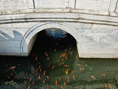 -北京市劳动人民文化宫(太庙)