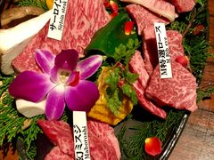 -松阪牛焼肉M(法善寺横丁店)