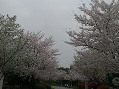 -尚贤河湿地