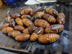 -丹东丛炟海鲜烧烤(江艺路店)