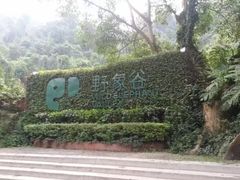 -野象谷景区