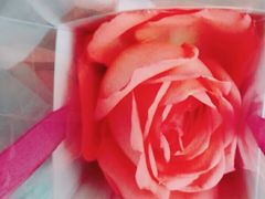 -万达广场(盐城盐都店)