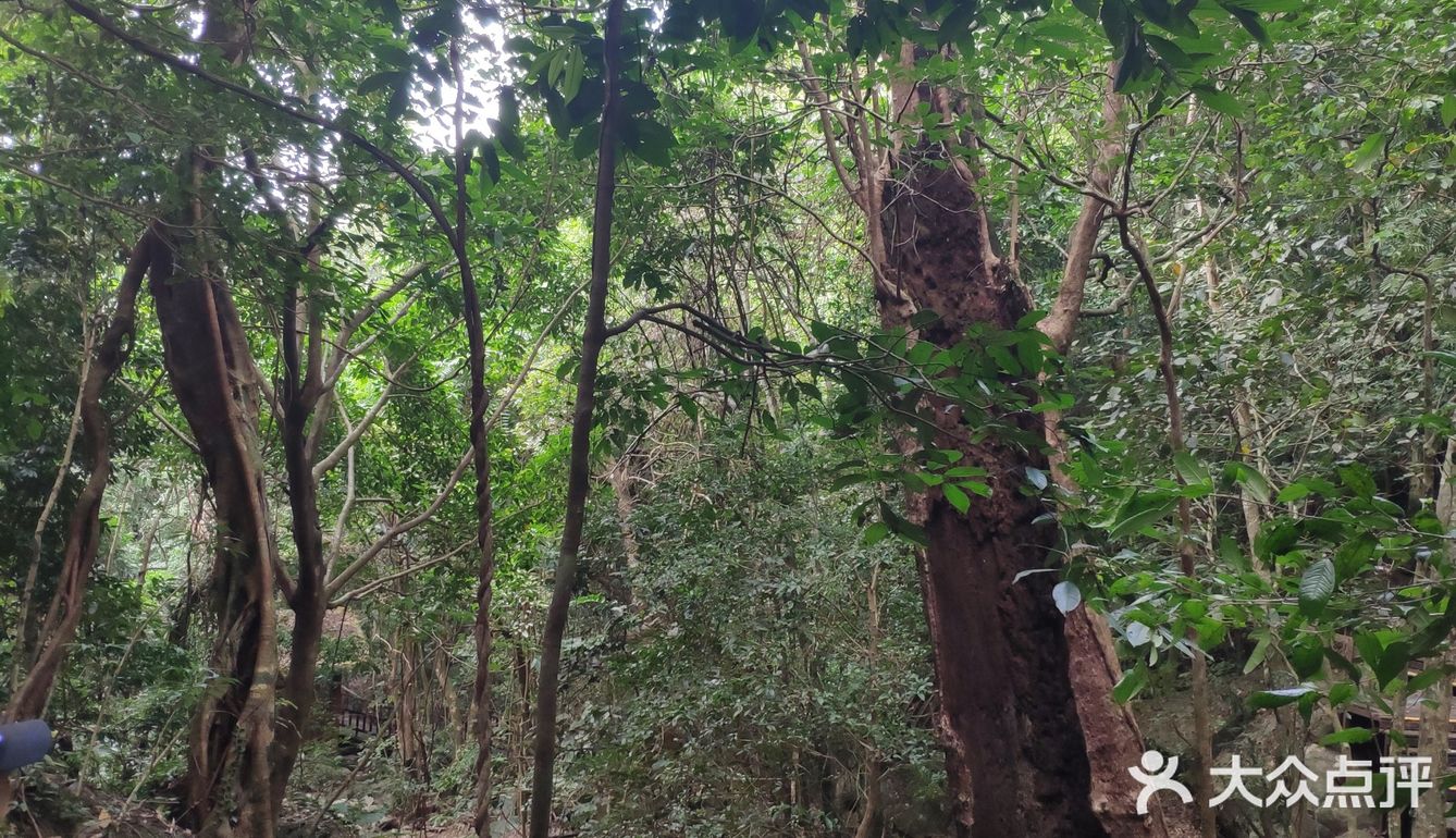 周末去爬山吧--美丽的七仙岭在等你！