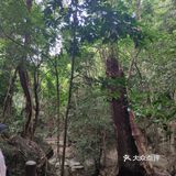 周末去爬山吧--美丽的七仙岭在等你！