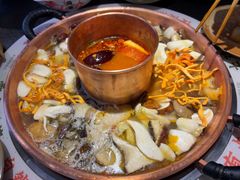 -菌自由丨野生菌火锅特色庭院餐厅(丽江古城店)