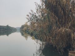 -白鹭湾湿地公园