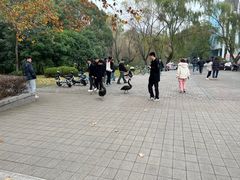 -东华大学(松江校区)