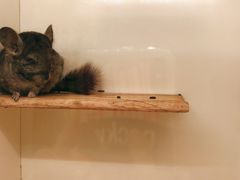 -龙猫仔乐园(惠福东路店)