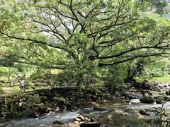 -广州市石门国家森林公园