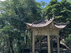 -午潮山国家森林公园