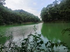 -缙云山景区