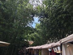 -苏州本色美术馆