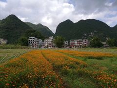 景点-靖西鹅泉风景区