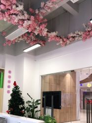 -静待花开瑜伽尊巴会馆