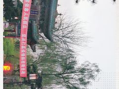 -迎泽公园
