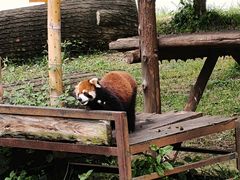 -合肥野生动物园