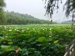 -南戴河国际娱乐中心