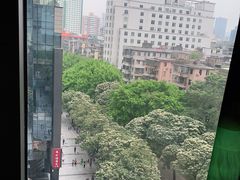 -凤园椰珍·臻品椰子鸡(保利时光里店)