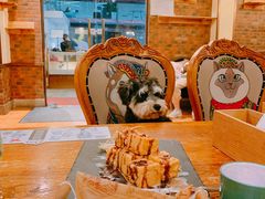 -more than meow吴止猫主题餐厅(承德 中船汇店)