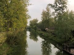 -合肥滨湖国家森林公园