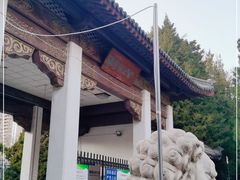 -团结湖公园