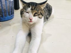 -清真马虎面馆(西七路店)