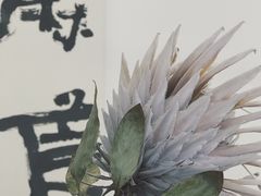景观位-麻雀咖啡SPARROW COFFEE(十全街店)