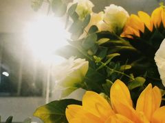 -iF摄影•全家福•证件照•形象照(南山店)