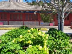-大钟寺古钟博物馆