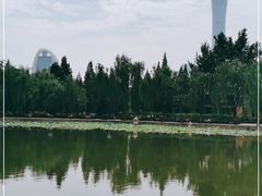 -团结湖公园