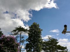 景点-广州市流溪河国家森林公园