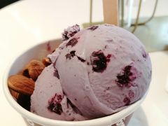 蓝莓雪糕-哈根达斯(天河城店)