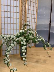 -宥莉·ULLY 痘敏肌•科技皮肤管理中心