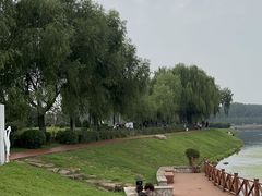 -丁香湖公园