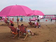 -碧海金沙