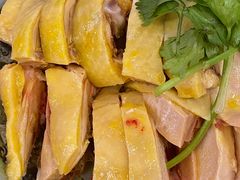 -九斤黄三黄鸡专卖店