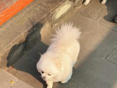 -温江公园