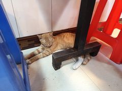 -富记鱼蛋粉(西村店)