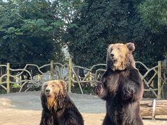 -常州淹城野生动物世界