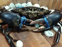 -勝記酒家·37年老字号·经典粤菜(荔枝公园店)
