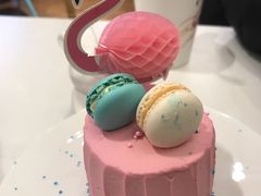 火烈鸟-随心小姐