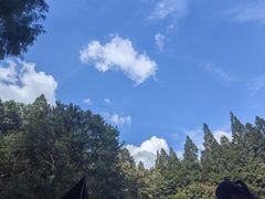-上海吴淞炮台湾国家湿地公园